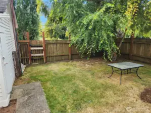 Fenced back yard, secure for pets