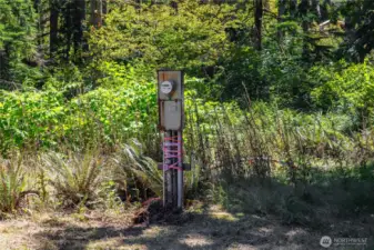 UTILITY POLE IN PLACE NEAR GARAGE.