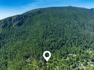 PRIVACY ABOUNDS ON THIS BEAUTIFUL PROPERTY.