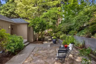 The shade garden.