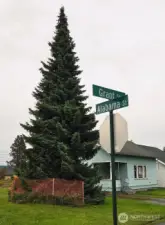 In the heart of Sunnyland...