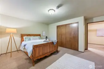Spacious lower level bedroom