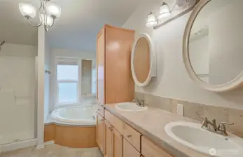 Full primary bathroom with walk-in shower and large soaking tub.