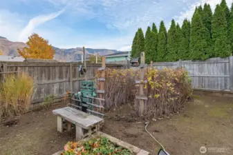 Berry garden in the fenced back yard. Irrigation water is present on the property.