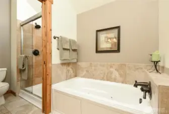 Jetted tub and full shower in the master bathroom.