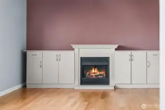 Electric fireplace to keep it cozy