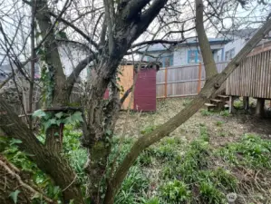 Back yard and outbuilding