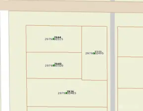 Assessor's Map view of lot (1111) with 80th at the top and alley along the east/left side of the lot.