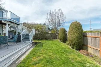 Fully fenced back yard!