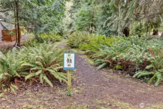 Trailhead on Belvedere Drive.