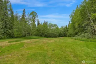 Bonus pasture