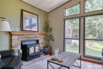 Wood burning stove.