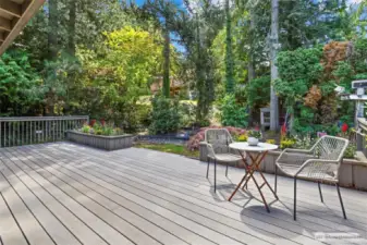 Back deck