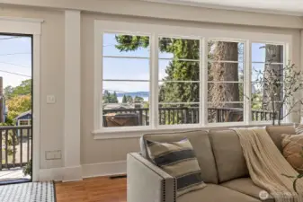 Living Room Windows