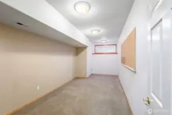Downstairs Bonus Room