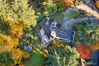 True Hollywood Hills estate located in quiet and charming Belmonte neighborhood.