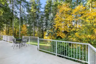 450 sqft deck is perfect for entertaining and quiet mornings with coffee.   Deck is far larger than it appears here.