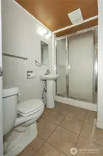 Lower level bathroom