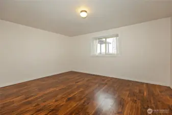 Lower level bedroom