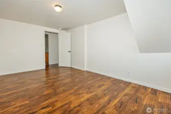 Lower level bedroom