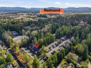 Minutes to Microsoft, Downtown Redmond, Bellevue & Kirkland