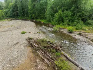 Salmon, Trout, Deer and Elk are commonly found on the property.