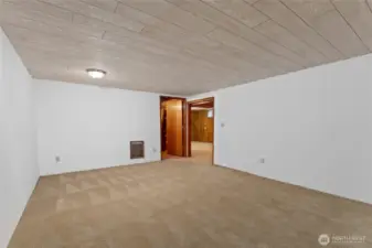 Basement living area