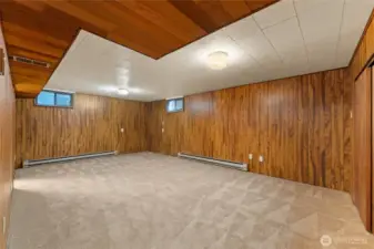 Bonus room in basement