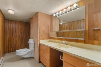 Toilet room with sink in basement located off bonus room