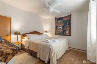 Downstairs Bedroom