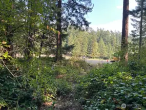 East side of property boarders Center Island's private airstrip.