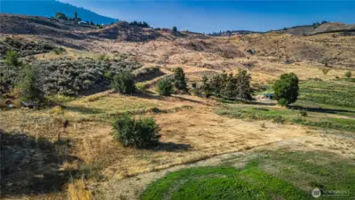 Back of pasture and access road