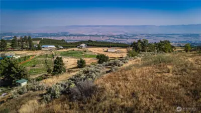 Views from potential home site