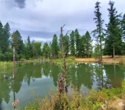 explore Mikes pond at Wallace Ranch