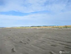 TO THE NORTH OF THE PROPERTY IS COPALIS BEACH, SEABROOK, PACIFIC BEACH, MOCLIPS AND QUINAULT INDIAN NATION!