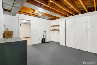 Basement Storage Area