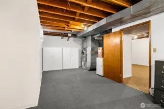 Basement Storage Area