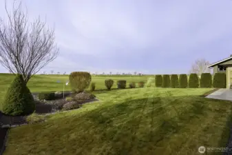 Tasteful Landscaping