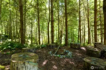 Fire pit area amongst the walking trails