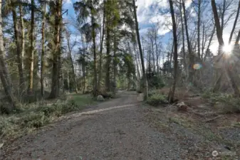 Driveway in place.