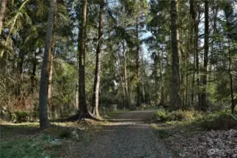 Mature trees provide a picturesque backdrop.