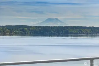 Sometimes Mt Rainier isn't so shy!