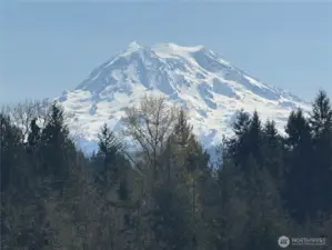 view from neighbor (114th) to show possibility after logging