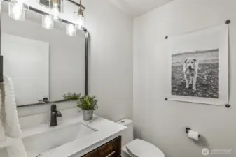 Half bath on the main floor beautifully remodeled with sleek, modern finishes.