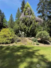 You'll feel like your in an arboretum!