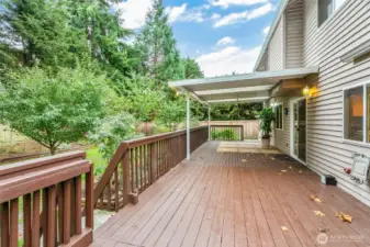 Huge (12'x48') deck with large covered area and two clear panels for extra light