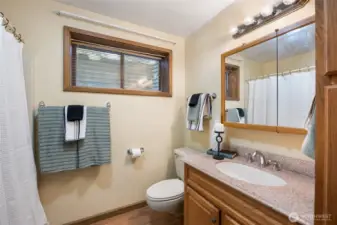 Hall Bathroom Downstairs