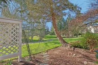 Lovely serene view from back patio