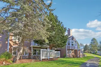 Front grass toward back patio