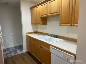 Kitchen sink and cabenits